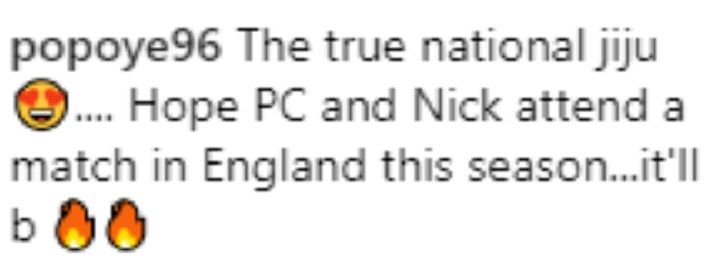 People call Nick Jonas national jiju as he supports Indian cricket team.