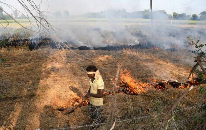 Amandeep Kaur, Farmers, Burn Stubble, Pollution