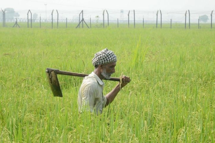 Govt Finally Releases Data 11379 Farmers Committed Suicide In 2016 Whats The Priority Now