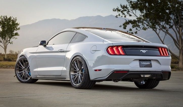 Mustang blanche hot sale