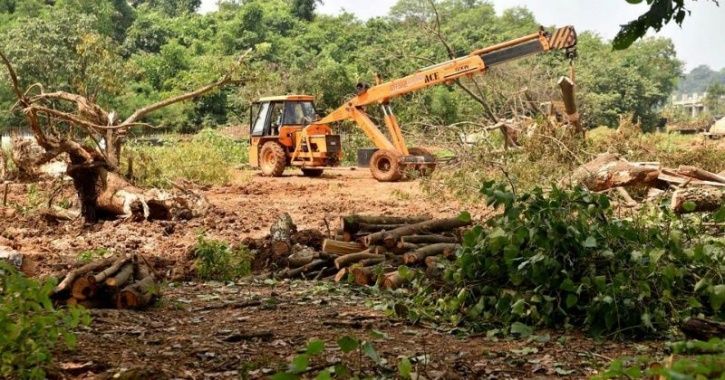 Uttar Pradesh’s Yogi Government To Cut Down 64,000 Trees For The Defence Expo in Lucknow