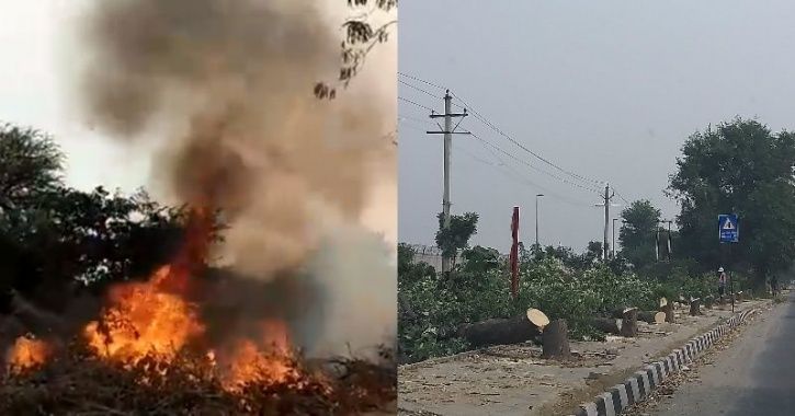 While Delhites Grasp For Clean Air, Trees Are Cut & Massive Fire Has Been Raging In Dwarka For Days 