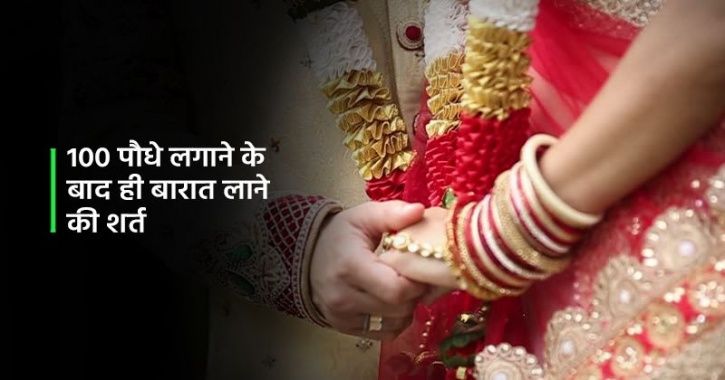 bride wedding condition, plantation is condition for marriage, air pollution, दुल्हन की शर्त, 100 पौ