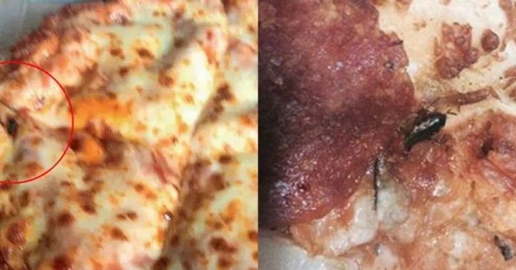 insect in pizza