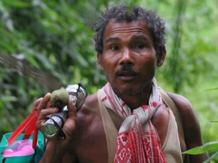 jadav payeng, molai forest