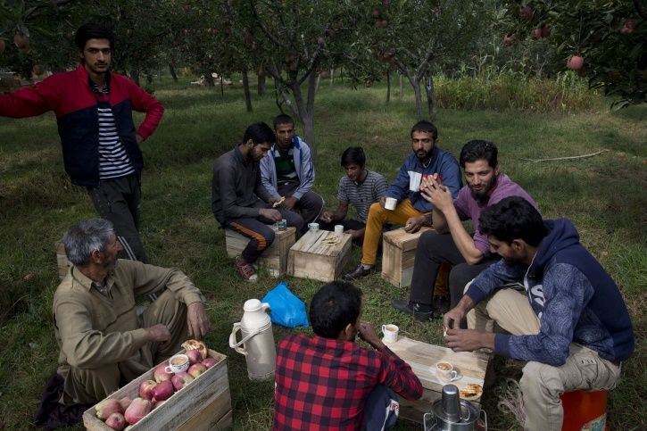 Kashmir Apple Trade