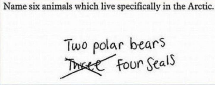 These Kids Got The Answers Wrong But Scored On Creativity