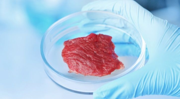 lab grown meat