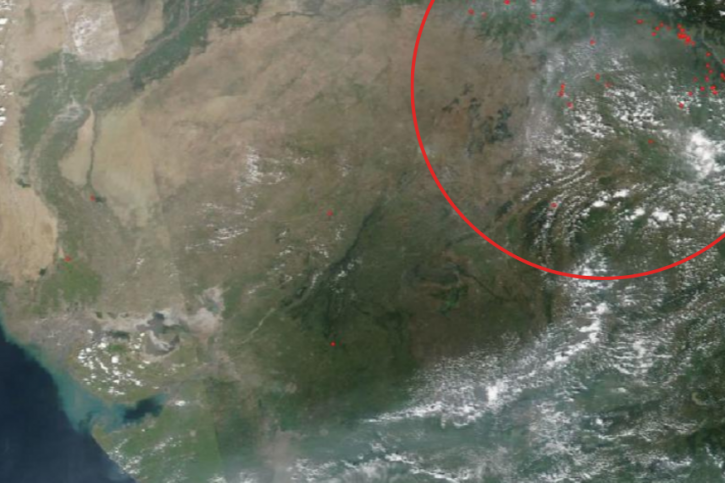 NASA Images Reveal Stubble Burning Behind Increase In Air Pollution, Thick Smog In Delhi