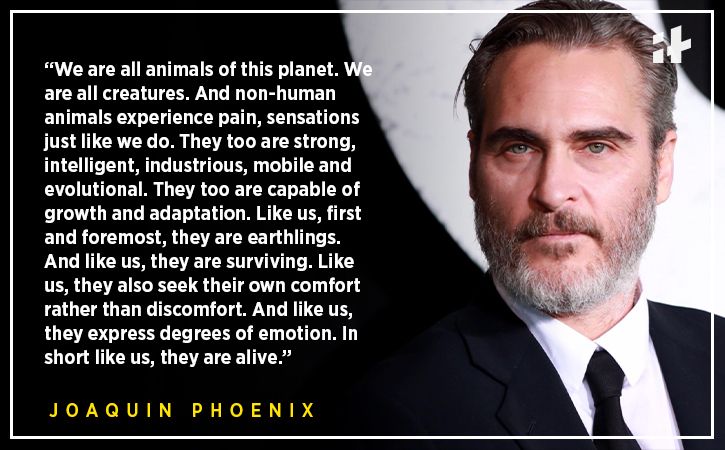 Quotes By Joaquin Phoenix That’ll Inspire You To Not Follow The Norm & Be Different Instead!