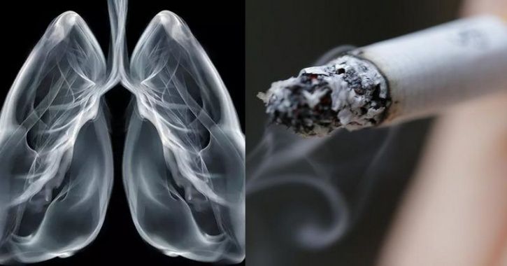 cigarette smoke lungs