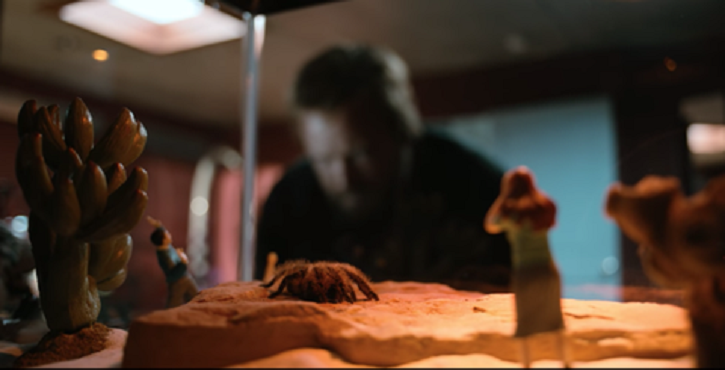 tarantula also had a connection with Breaking Bad.