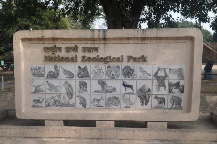 Delhi Zoo 12 