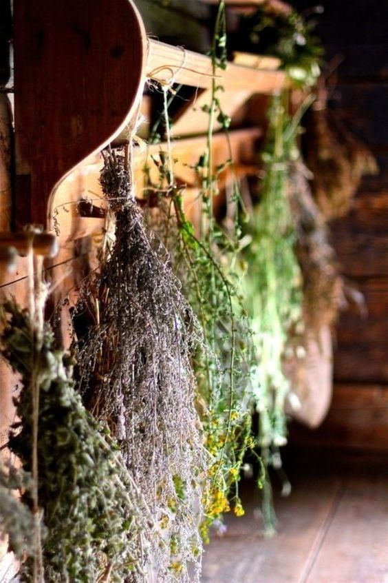 herbs to keep in your house