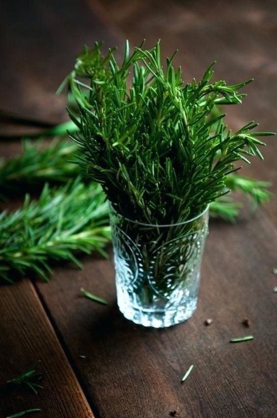 These magical herbs for success will foster prosperity and protection