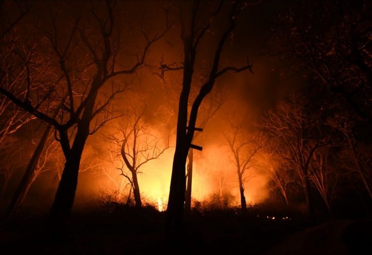 India Forest Fire
