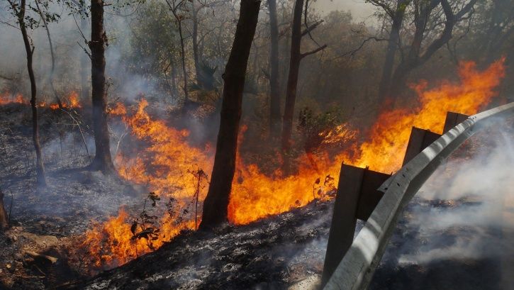 India Forest Fire