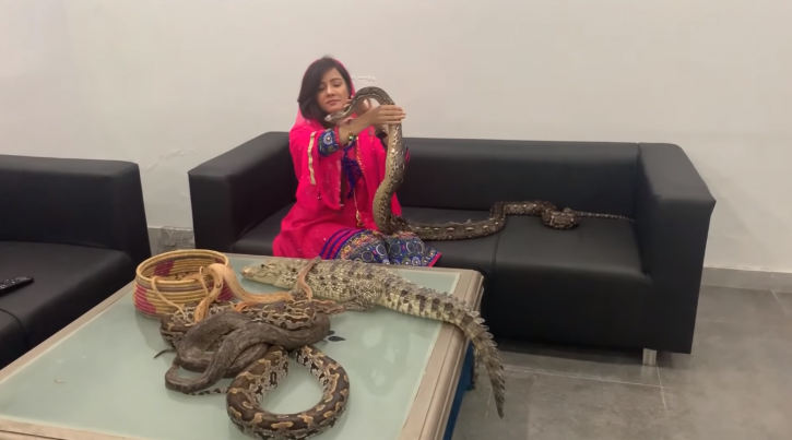 Pakistan Singer Rabi Pirzada trolled for threatening to launch a snake attack.