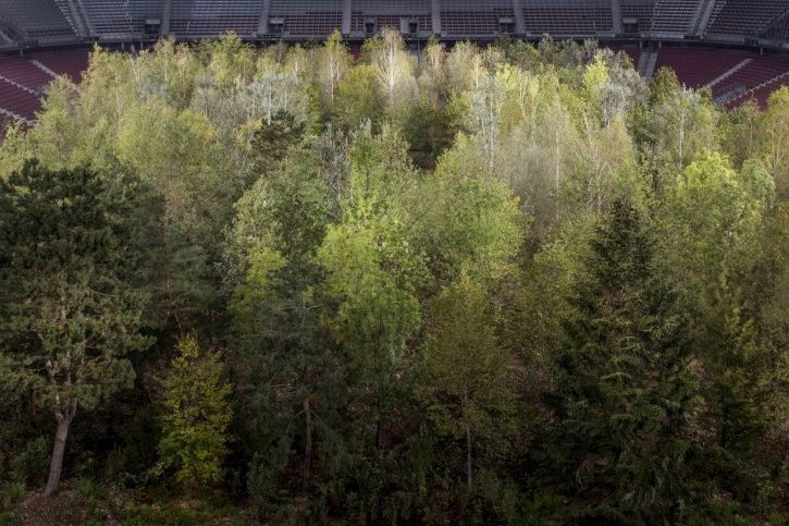 This Austrian football stadium has a forest in it