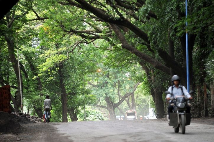 Tree Authorities Give Nod To Cut 2,700 Trees In Mumbai’s Aarey Forest, Protests Follow