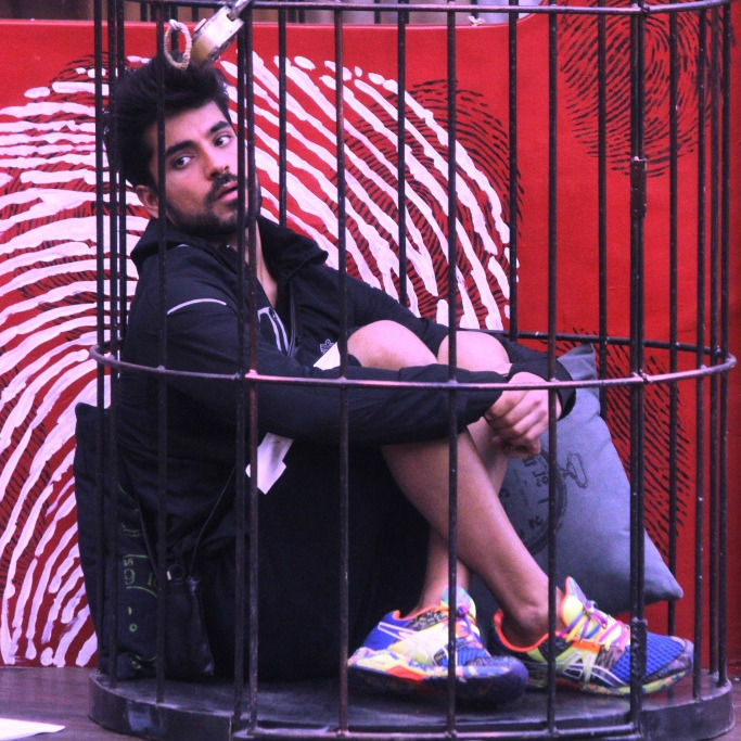 Why Is Gautam Being Targeted On Bigg Boss 8?