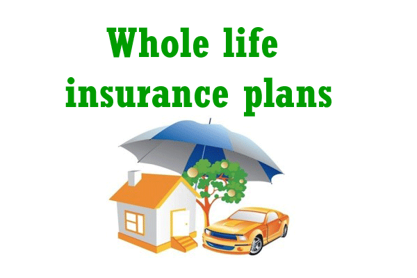 Top 11 Things To Remember Before Buying A Life Insurance Policy