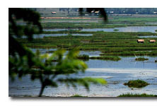 Manipur And Its Scenic Beauty
