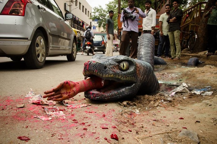 OMG: Anaconda Spotted On Bengaluru Streets!