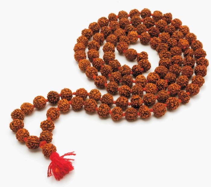 Rudraksha- All You Need To Know