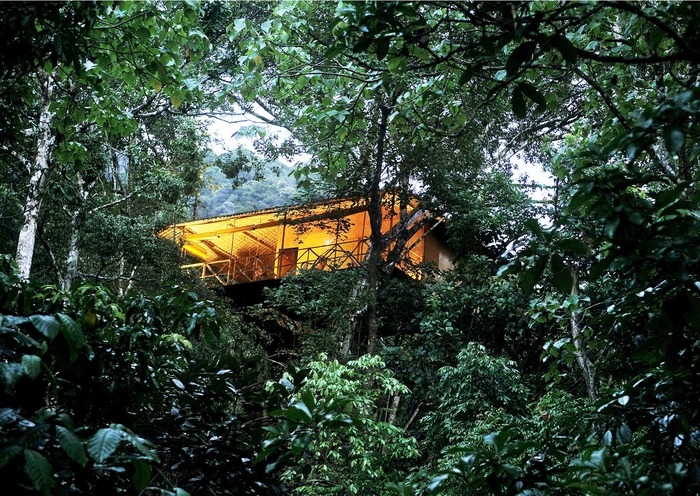 5 Tree House Resorts In India That You Must Visit
