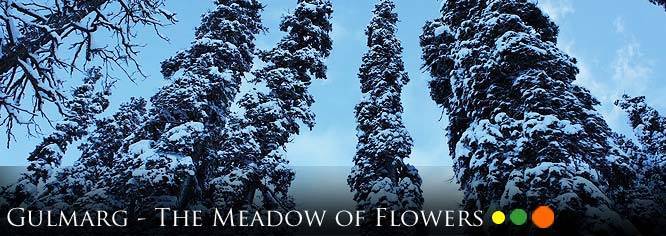 Gulmarg, India - The Meadow Of Flowers