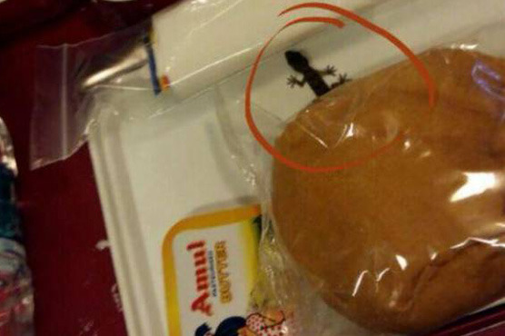 Air India Passenger Finds Lizard In In-flight Meal