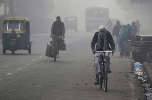 10 photos that will make you fall in love with Delhi winters