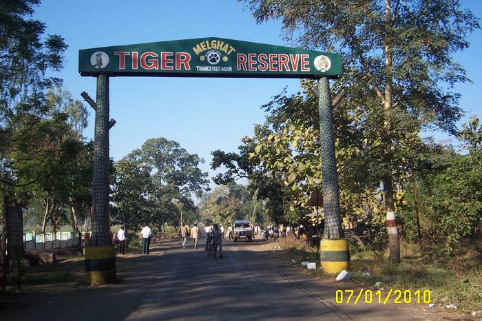 Melghat Tiger Reserve - Worth Visiting