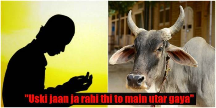 Muslim Man Killed For Consuming Beef, And Another One Jumps In To The Well To Save A Cow