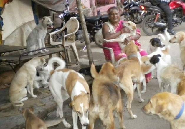 A Ragpicker Who Is Also A Mother To 350 Stray Dogs