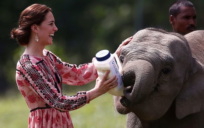Prince & Duchess Of Cambridge Explore Wildlife At Kaziranga