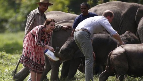 Prince & Duchess Of Cambridge Explore Wildlife At Kaziranga