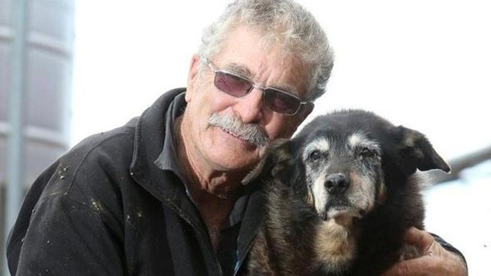 Maggie, The World's Oldest Dog Passes Away At 30!
