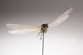 Spy Gadgets That Will Surprise You - Dragonfly Insectohopter