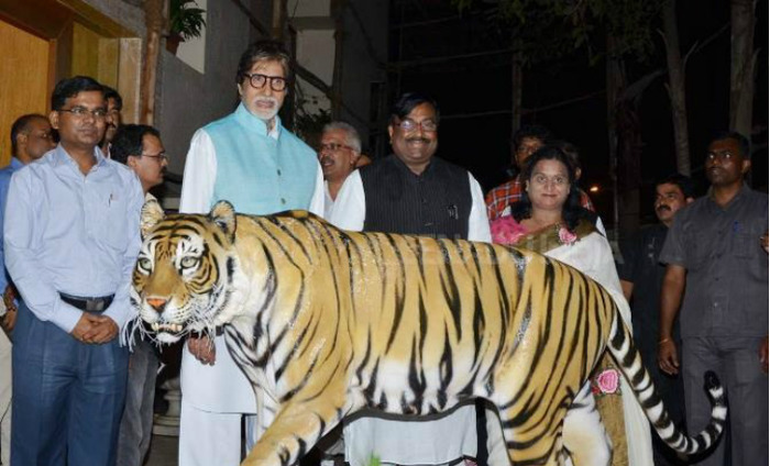 Congress To Remove Amitabh Bachchan As The Tiger Ambassador Of Maharashtra