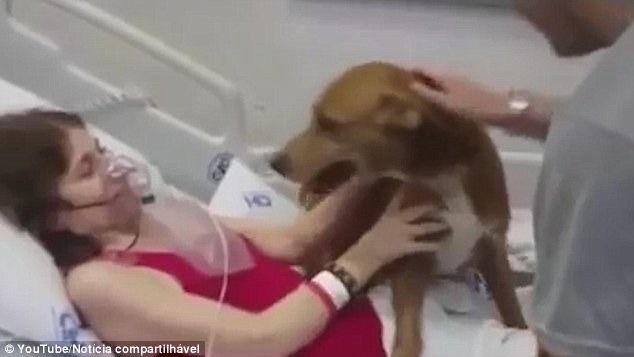 Terminally-Ill Mother Was Granted Her Last Wish To Be Reunited With Her Dog