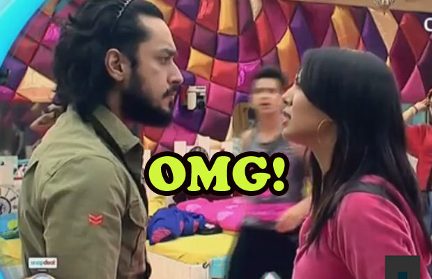 Bigg Boss 9: Rochelle Rao And Rishabh Sinha Are Out Of The House!