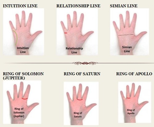 Understanding What Palmistry Is All About