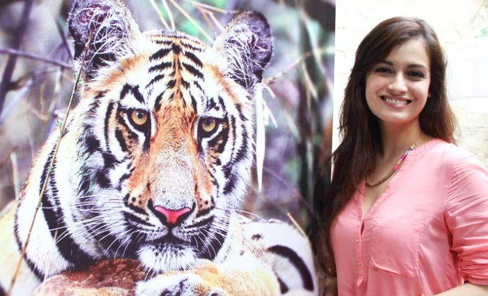 Dia Mirza Directs Film On Tigers, Nature Conservation