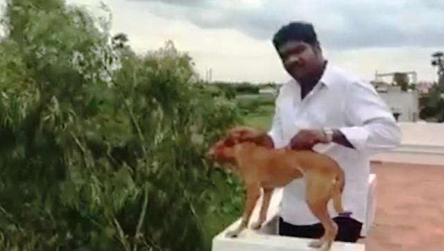 Sick Man Identified: Chennai Man Throws A Dog From The Rooftop