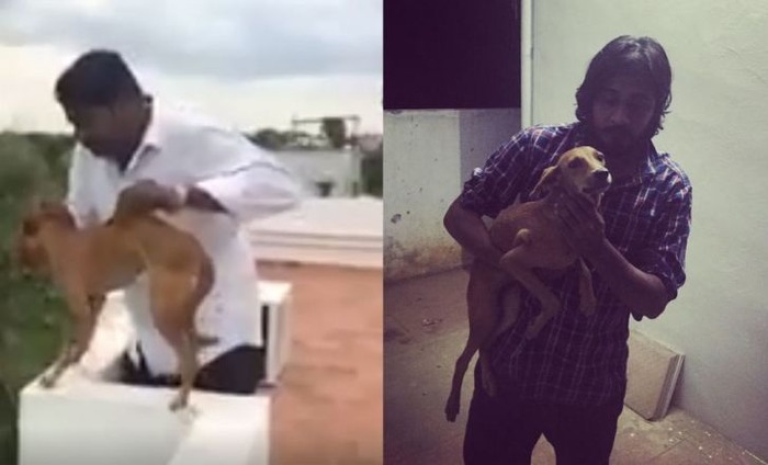 Medical Students Who Threw Dog Off A Roof Arrested; Get Bail Within 40 Minutes