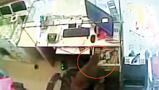 LOL: Monkey Steals Rs 10,000 From A Jewellery Shop In Andhra Pradesh!