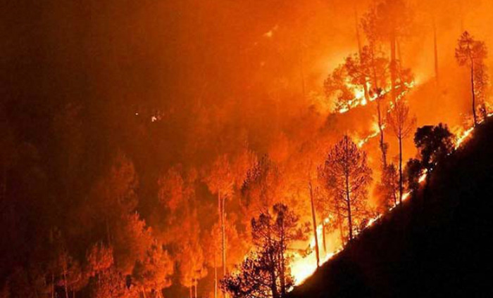 Raging Uttarakhand Forest Fire Can Melt Glaciers Faster, Say Experts