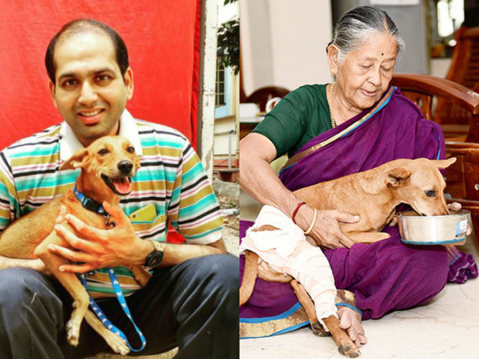 Dog Flung From Rooftop, Bhadra, Finally Gets A Permanent Home